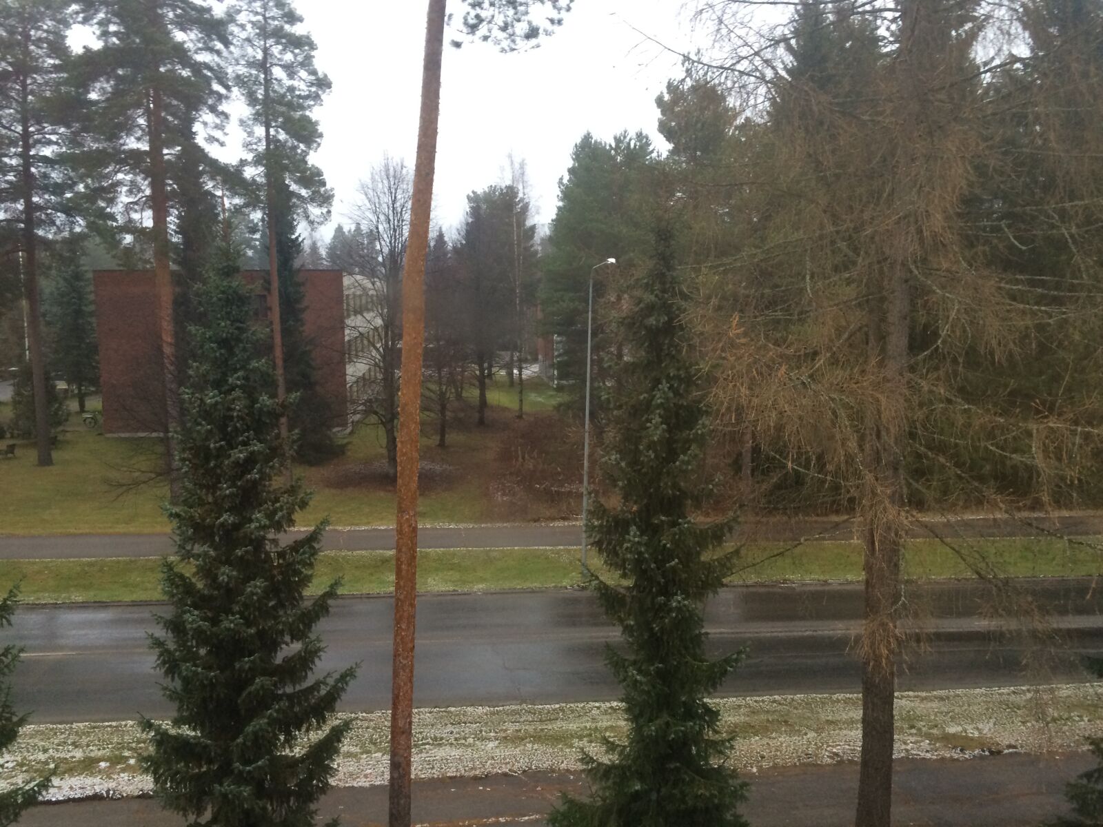 iPhone 5s back camera 4.15mm f/2.2 sample photo. Nature, trees, forest photography