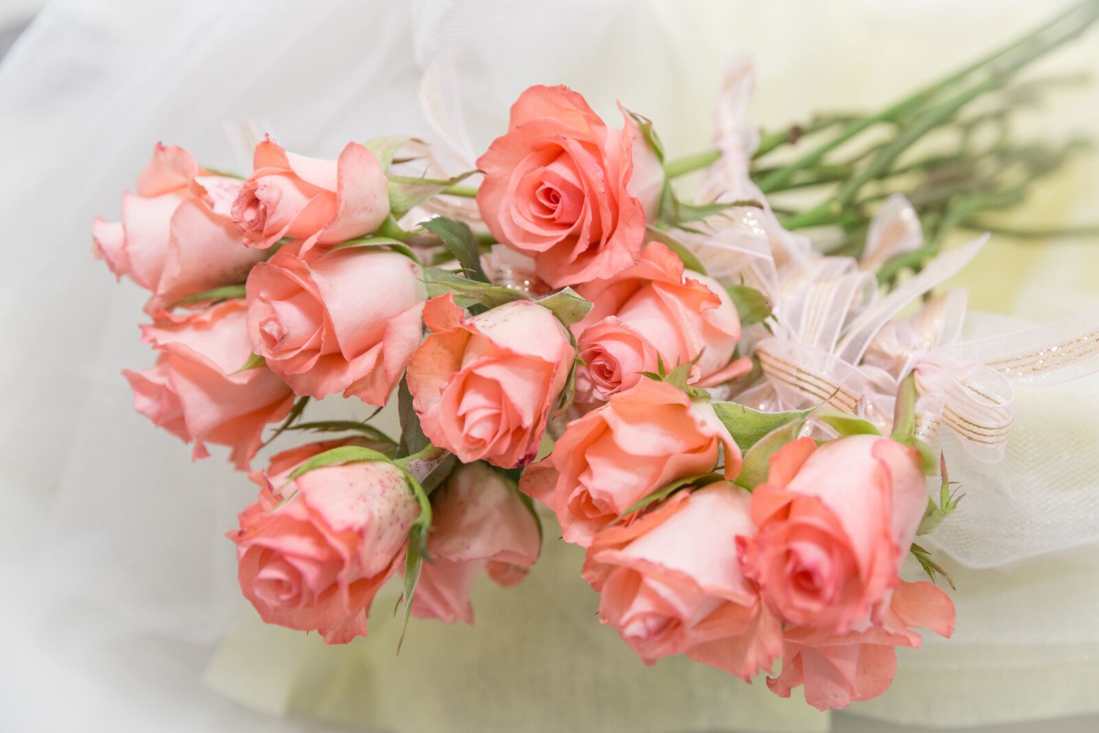 Canon EF 24-70mm F2.8L II USM sample photo. Flower, bouquet, rose photography