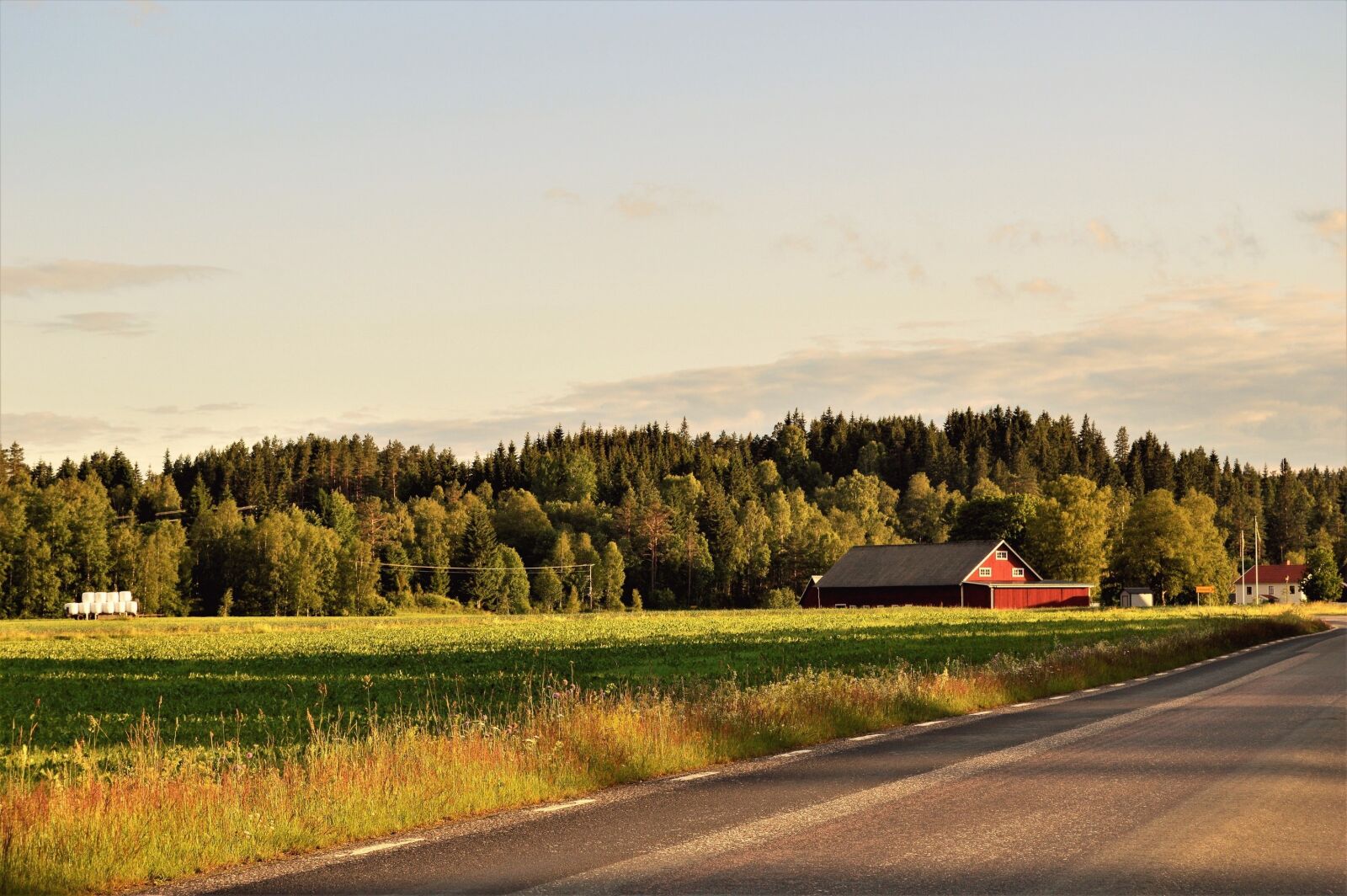 Nikon D3200 sample photo. Forest, road, summer photography