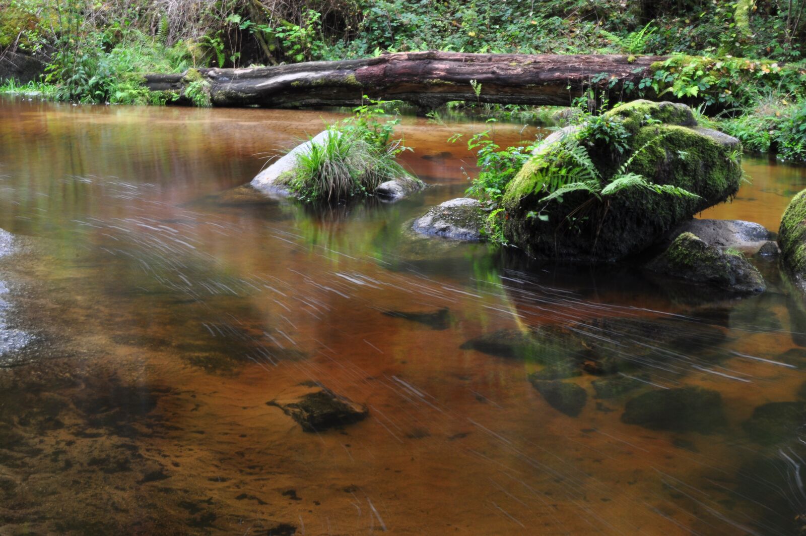 Nikon D90 sample photo. Water, river, nature photography