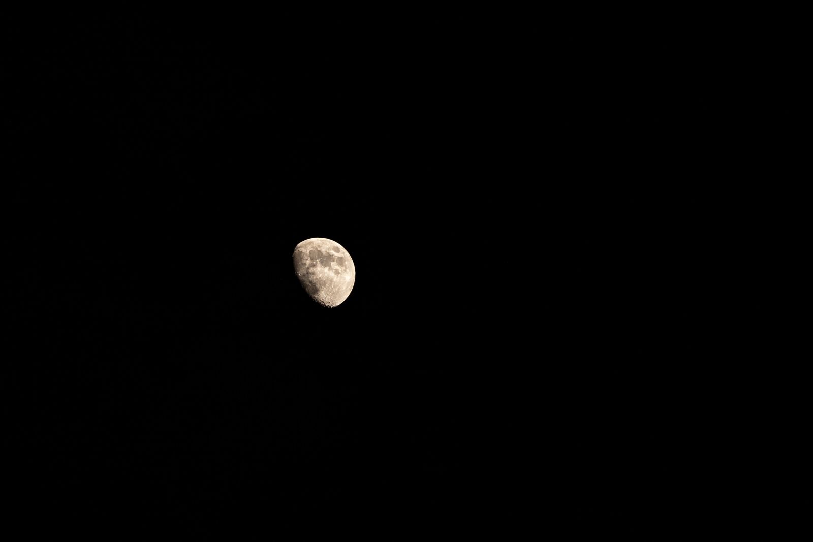 Canon EOS 6D Mark II sample photo. Moon, night, dark photography