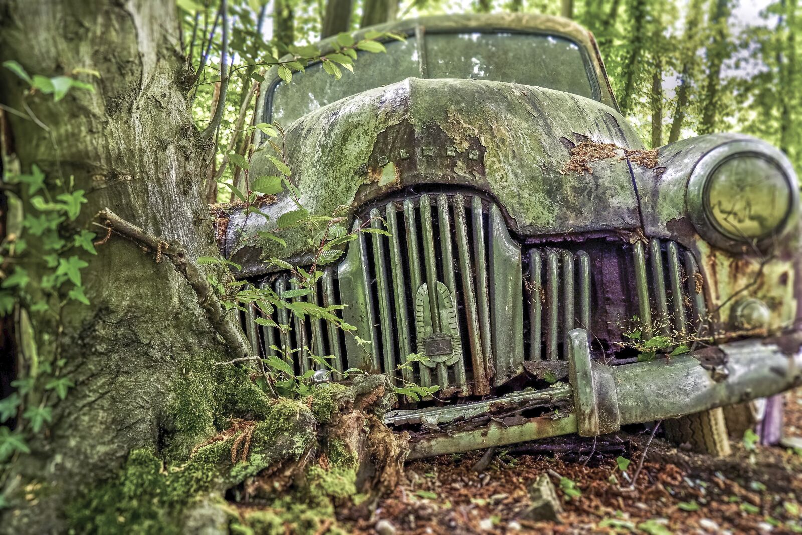 Olympus OM-D E-M10 sample photo. Auto, car cemetery, oldtimer photography
