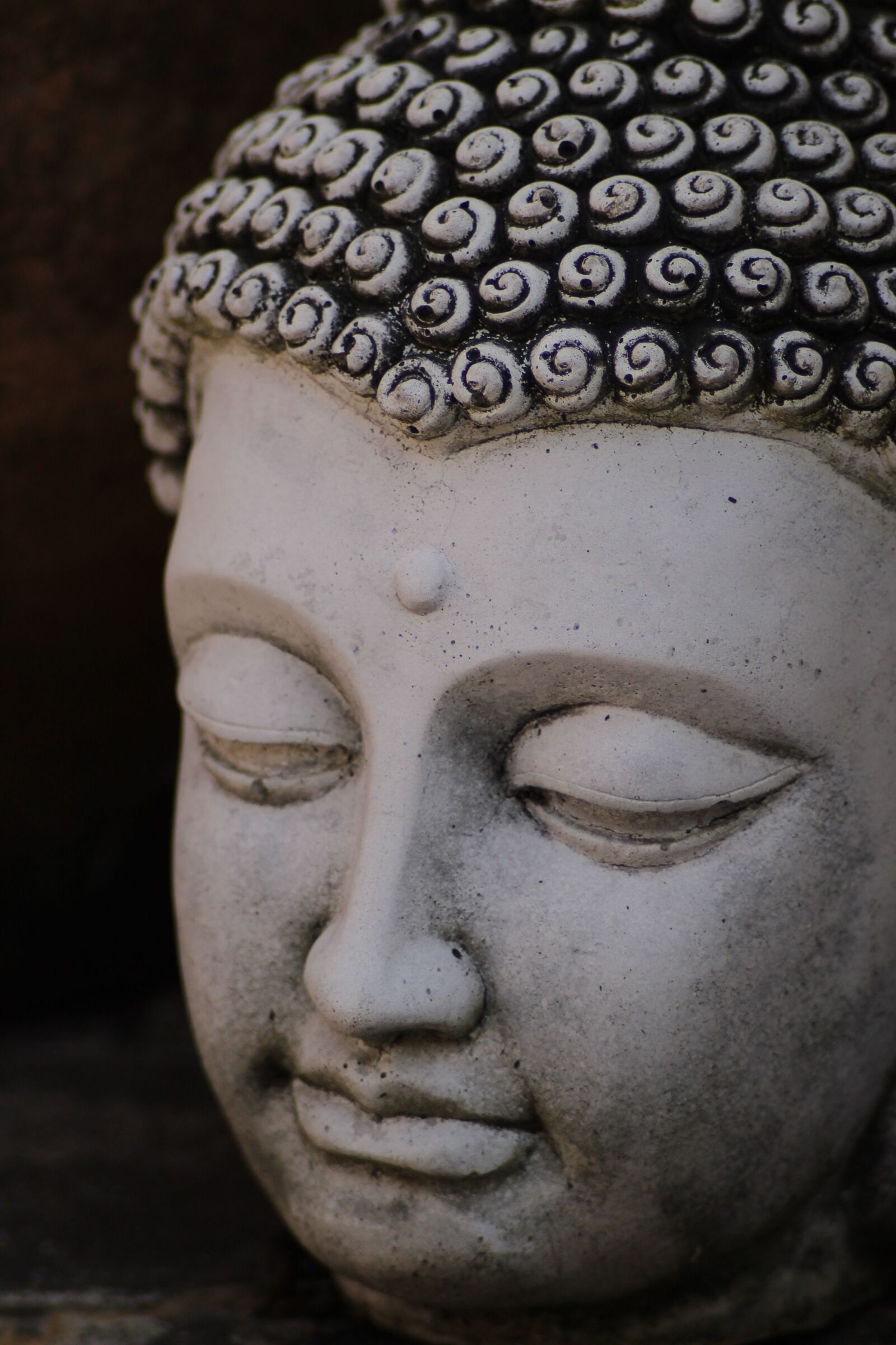 Canon EOS 1300D (EOS Rebel T6 / EOS Kiss X80) sample photo. Buddha, stone, head photography