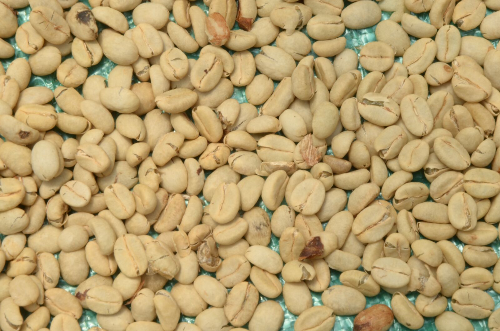 Nikon D7000 sample photo. Coffee, textures, nature photography