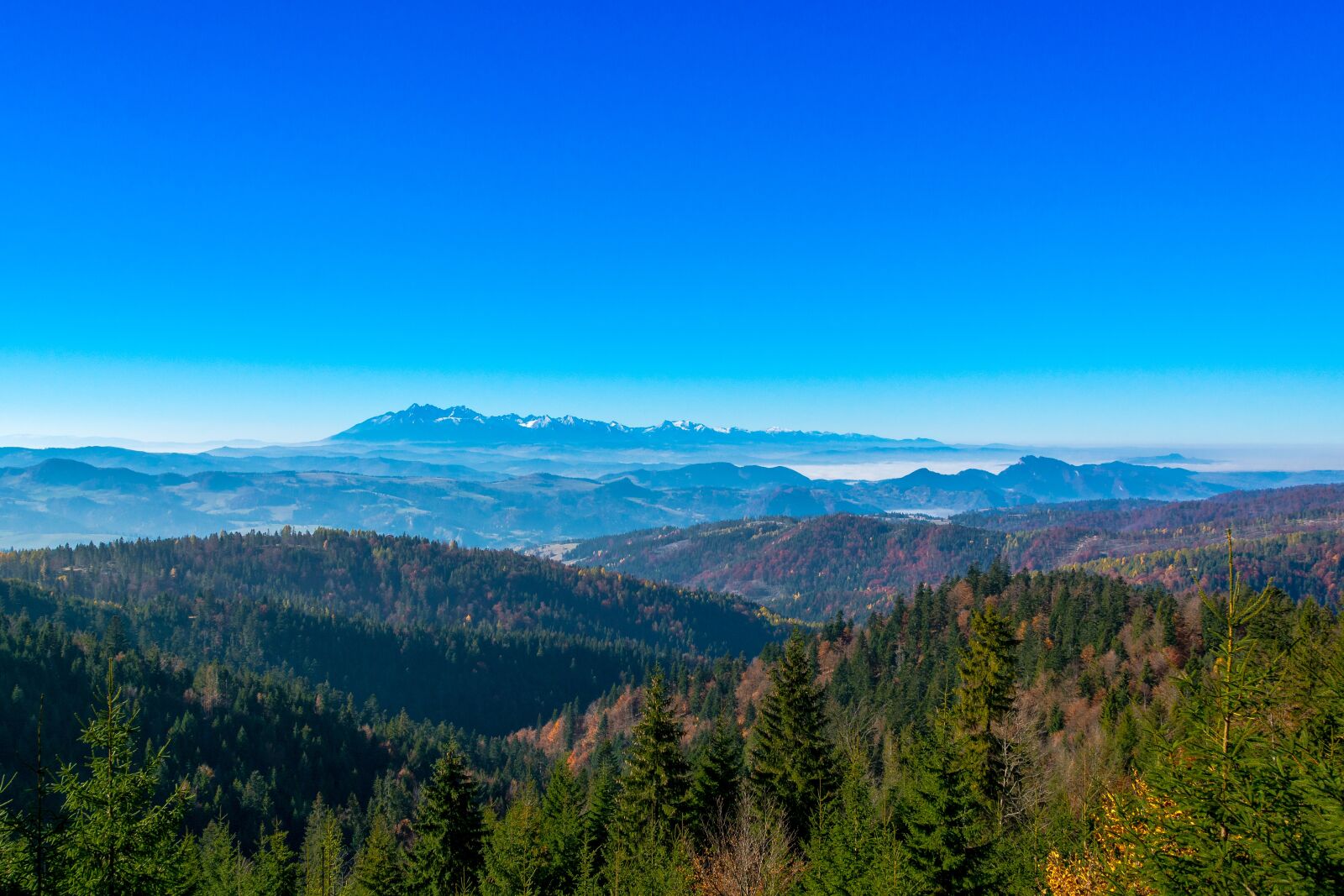 Nikon D7100 sample photo. The top of the photography