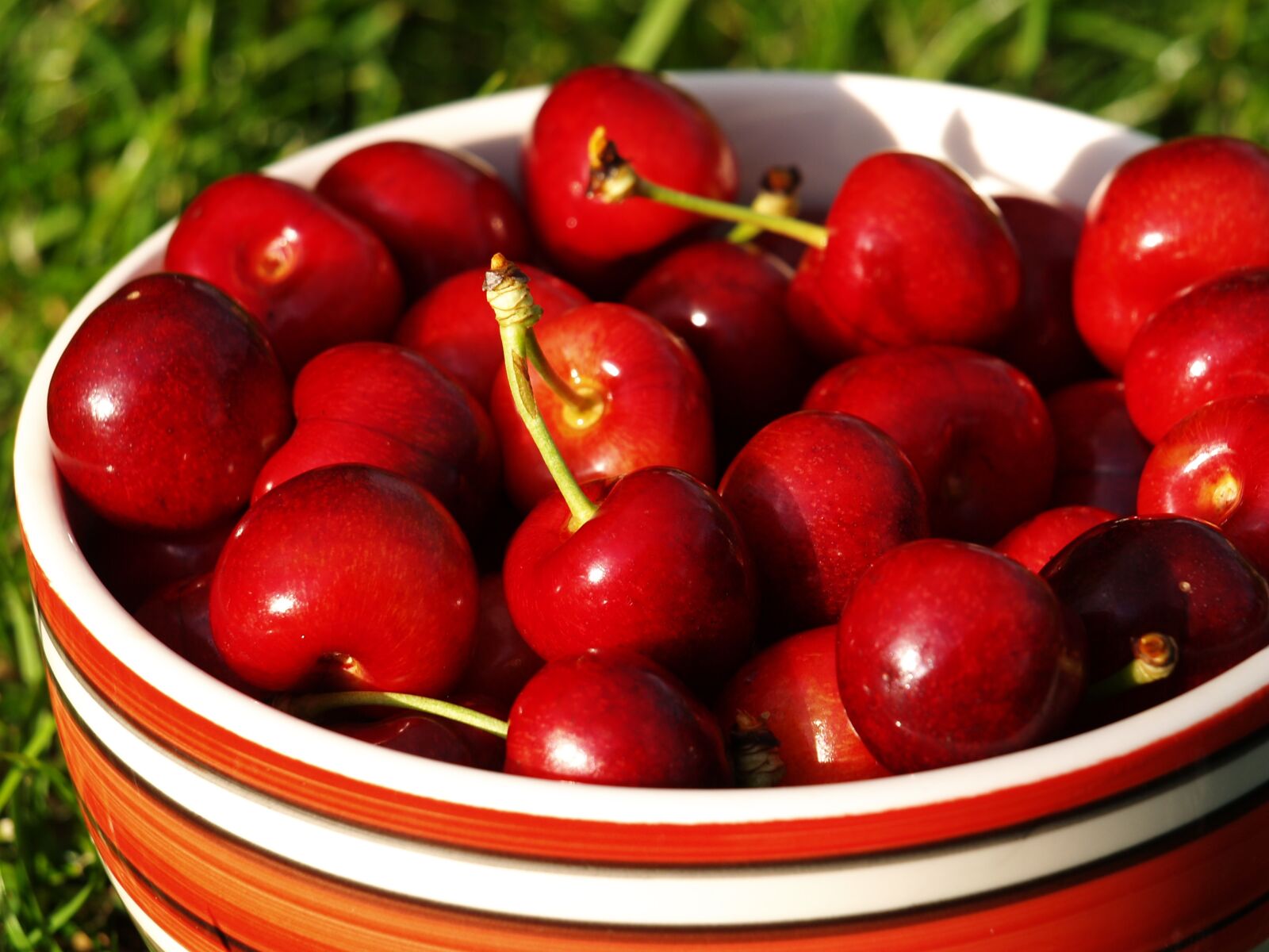 Olympus E-500 (EVOLT E-500) sample photo. Eating, fruit, healthy photography