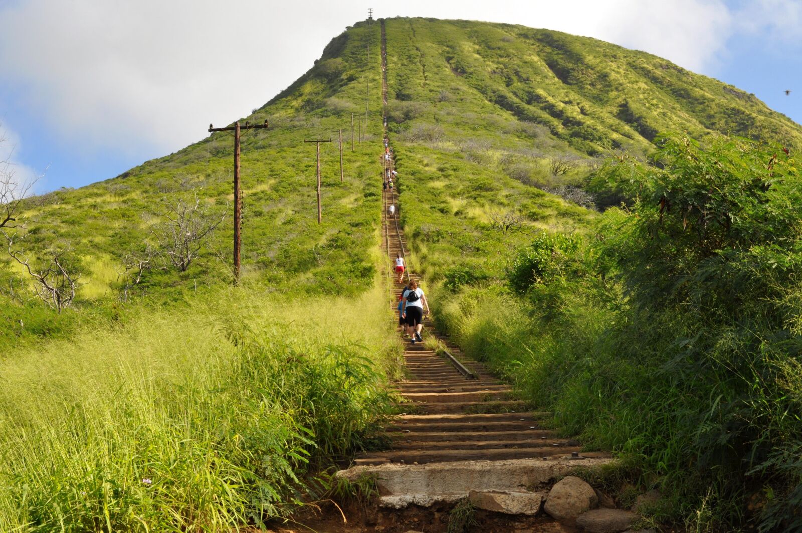 Nikon D90 sample photo. Oahu, koko head, mountain photography