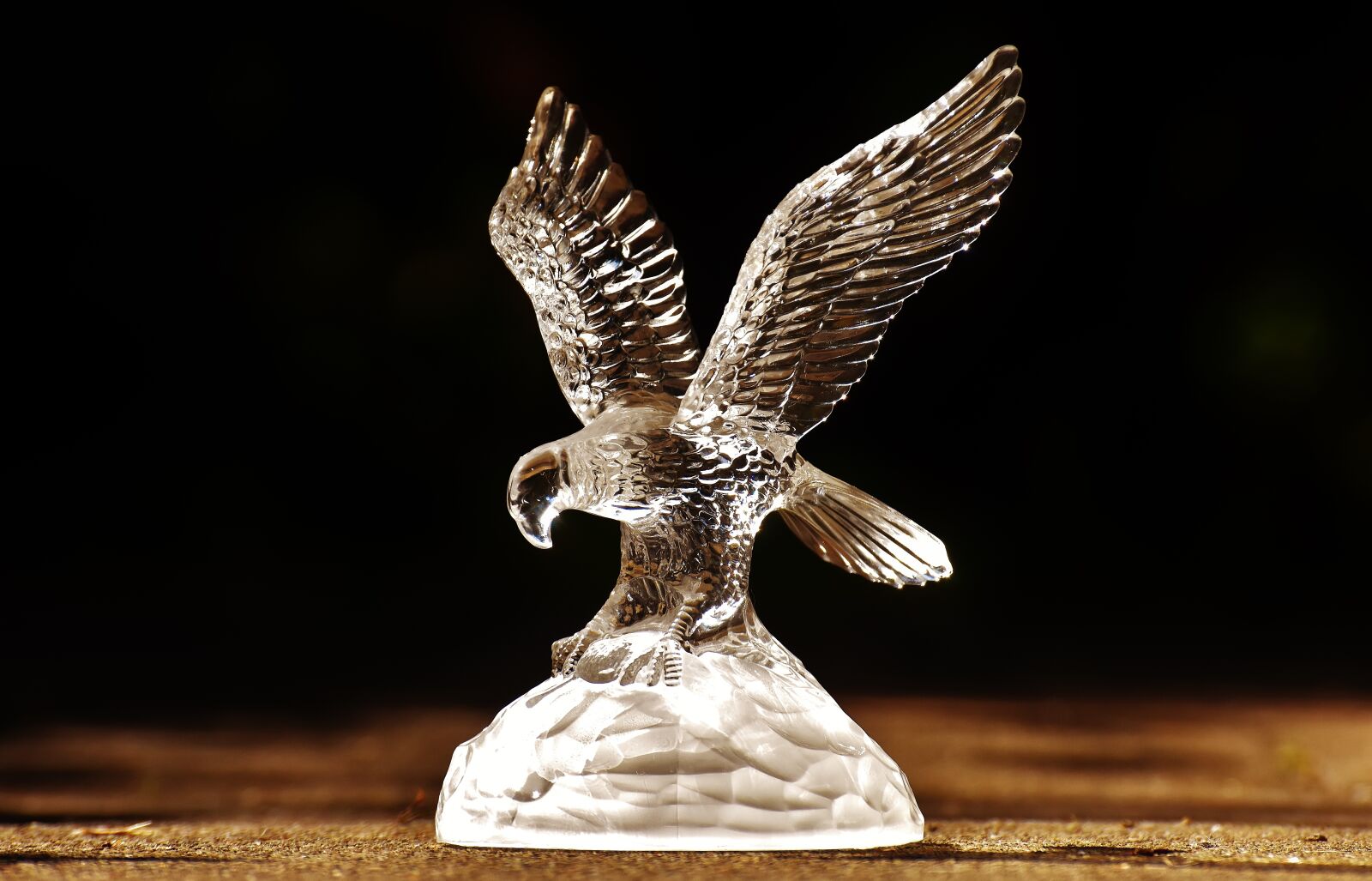 Nikon D7200 sample photo. Raptor, adler, glass photography