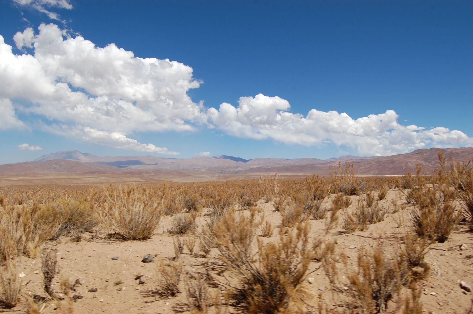 Nikon D40 sample photo. Chile, landscape, atacama desert photography