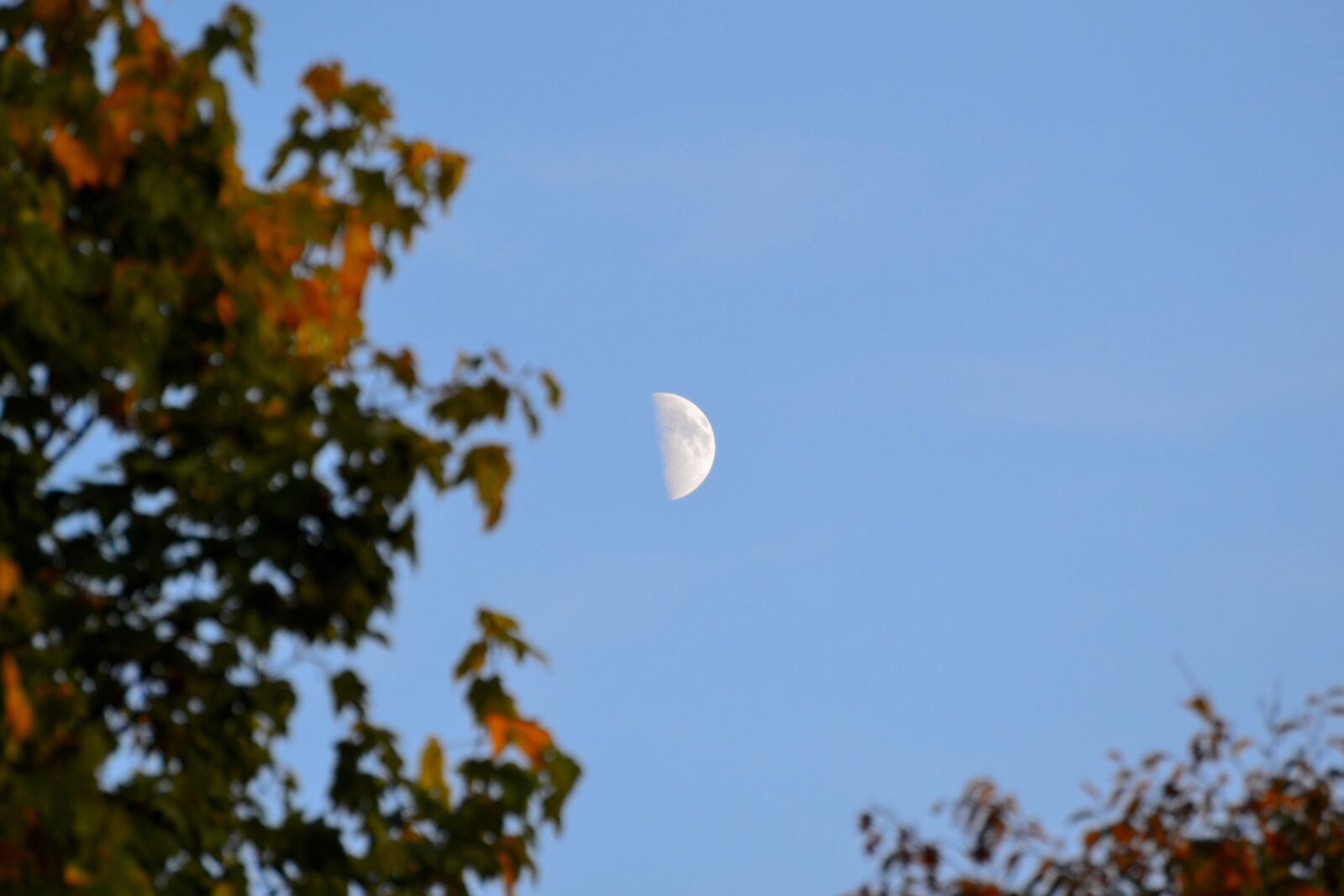 Nikon D3100 sample photo. Moon photography