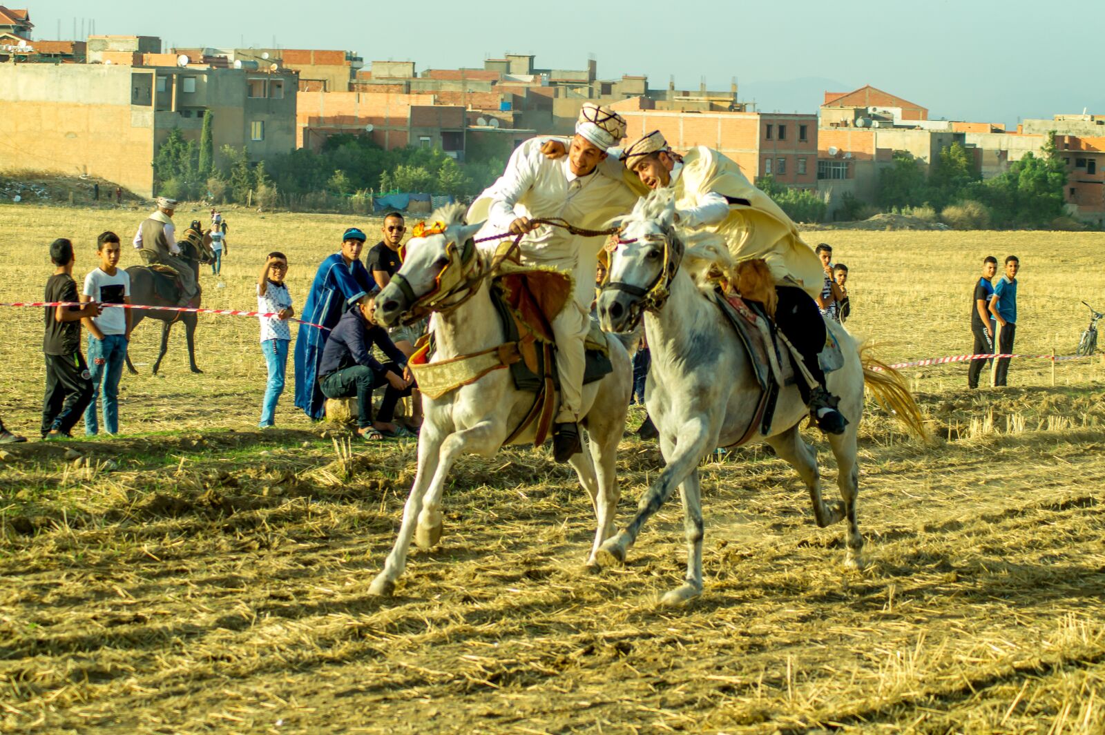 Sony SLT-A58 sample photo. Cavalry, wedding, fantazia photography