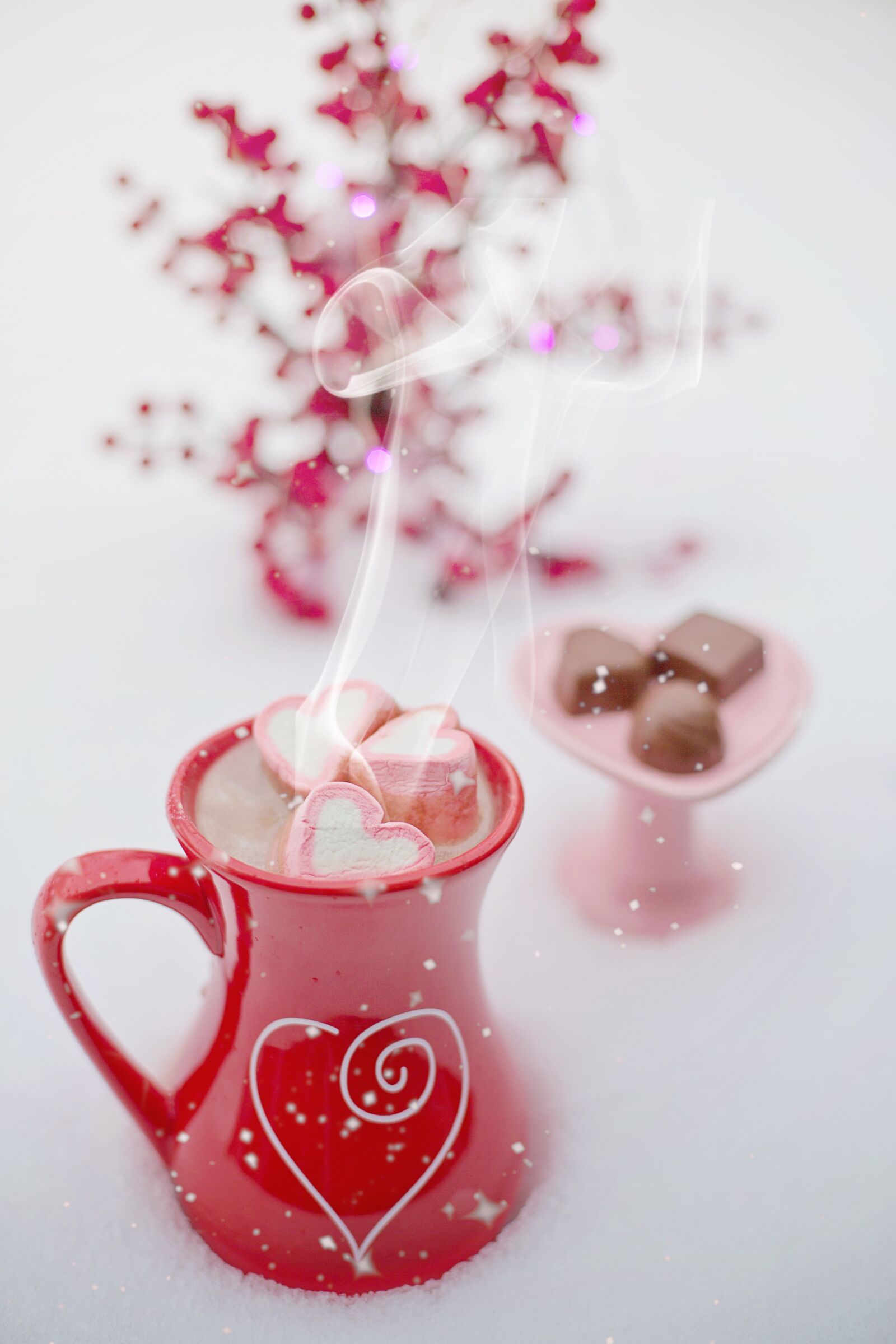 Canon EF 50mm F1.4 USM sample photo. Hot chocolate, hot cocoa photography