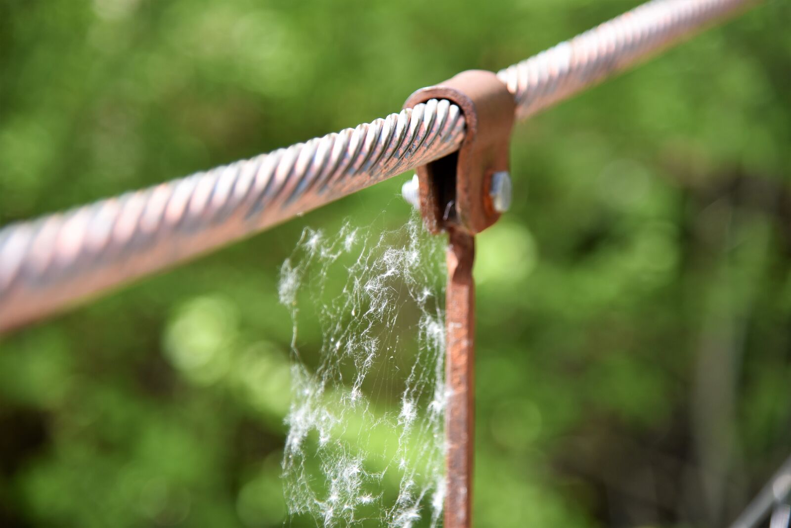 Nikon D750 sample photo. Steel cable, mount, spider photography