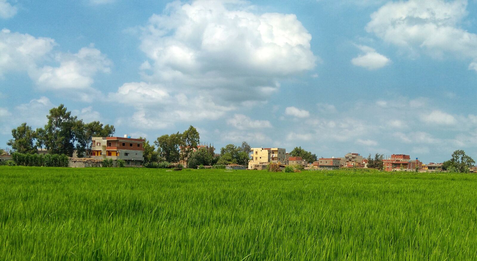 Lenovo K6 NOTE sample photo. Village, grace, green photography