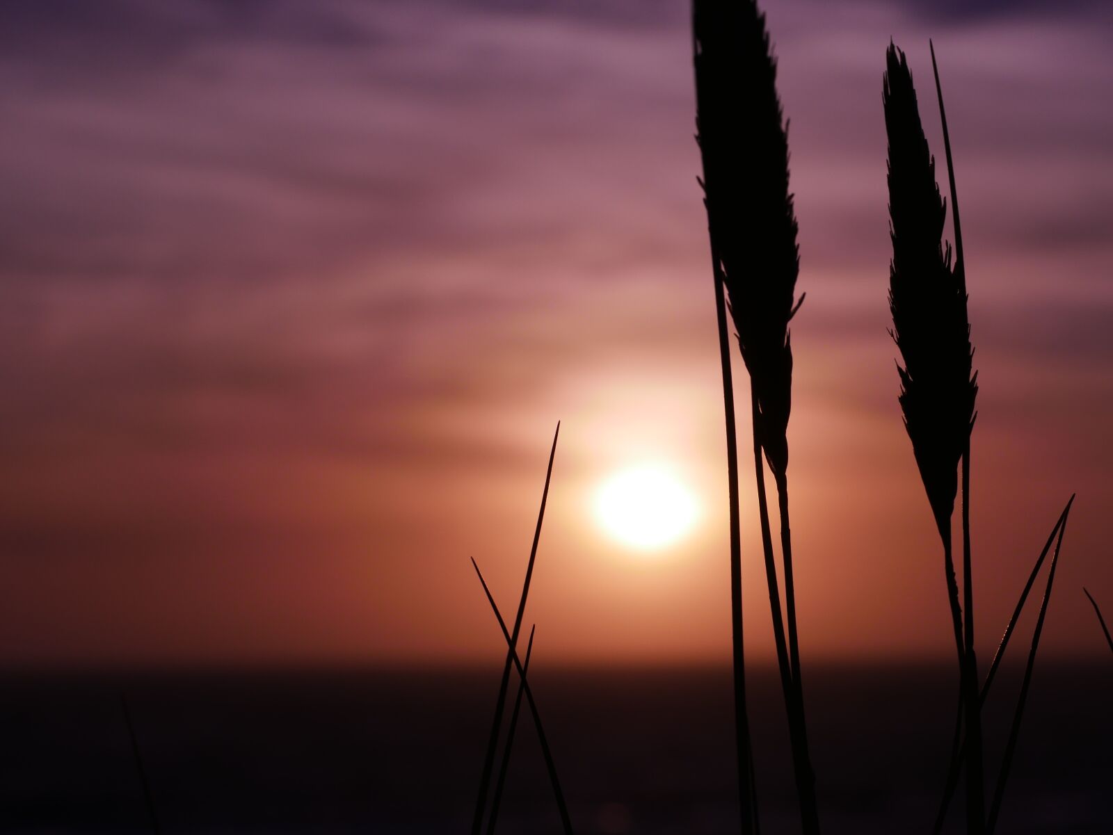 Panasonic DMC-G81 sample photo. Sunset, beach, summer photography
