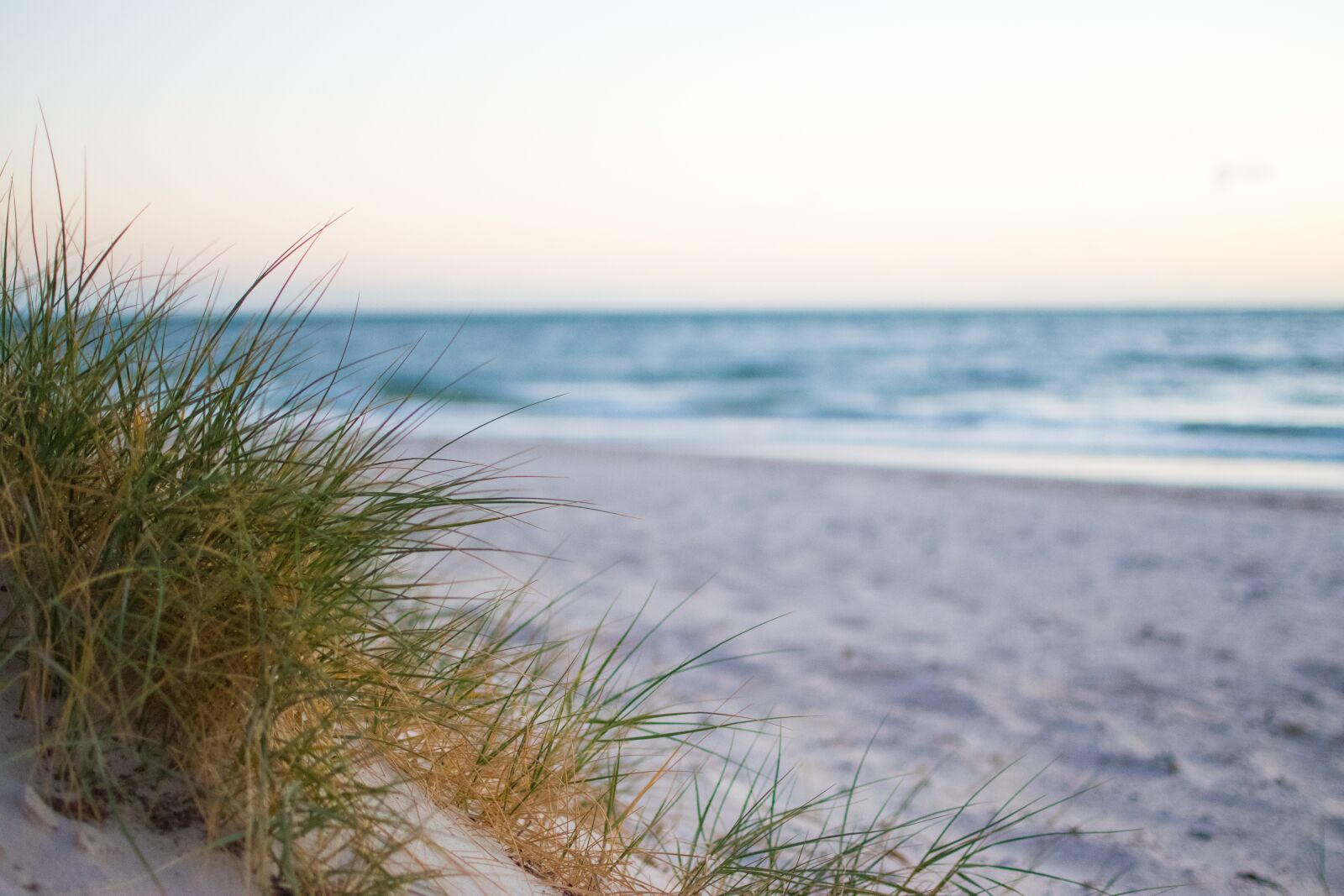 Nikon D5600 sample photo. Sea, beach, water photography