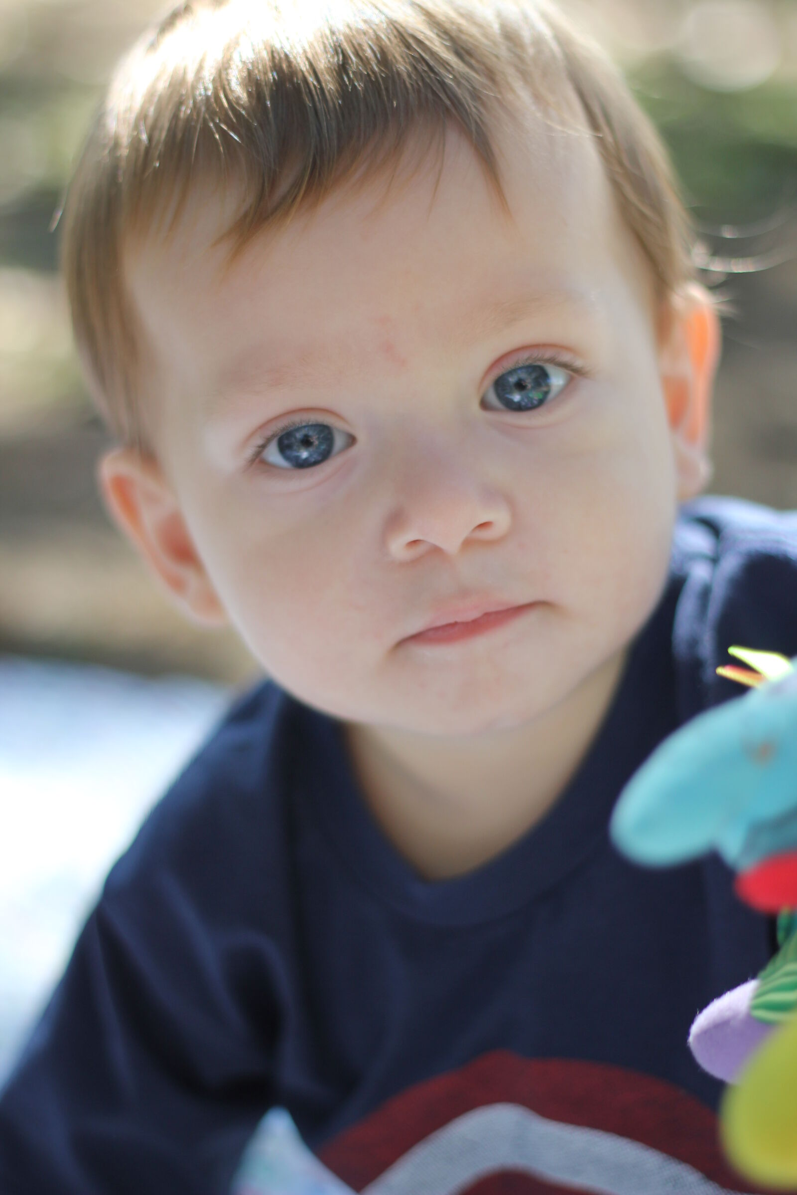 Canon EOS 550D (EOS Rebel T2i / EOS Kiss X4) sample photo. Baby, baby, boy, blue photography