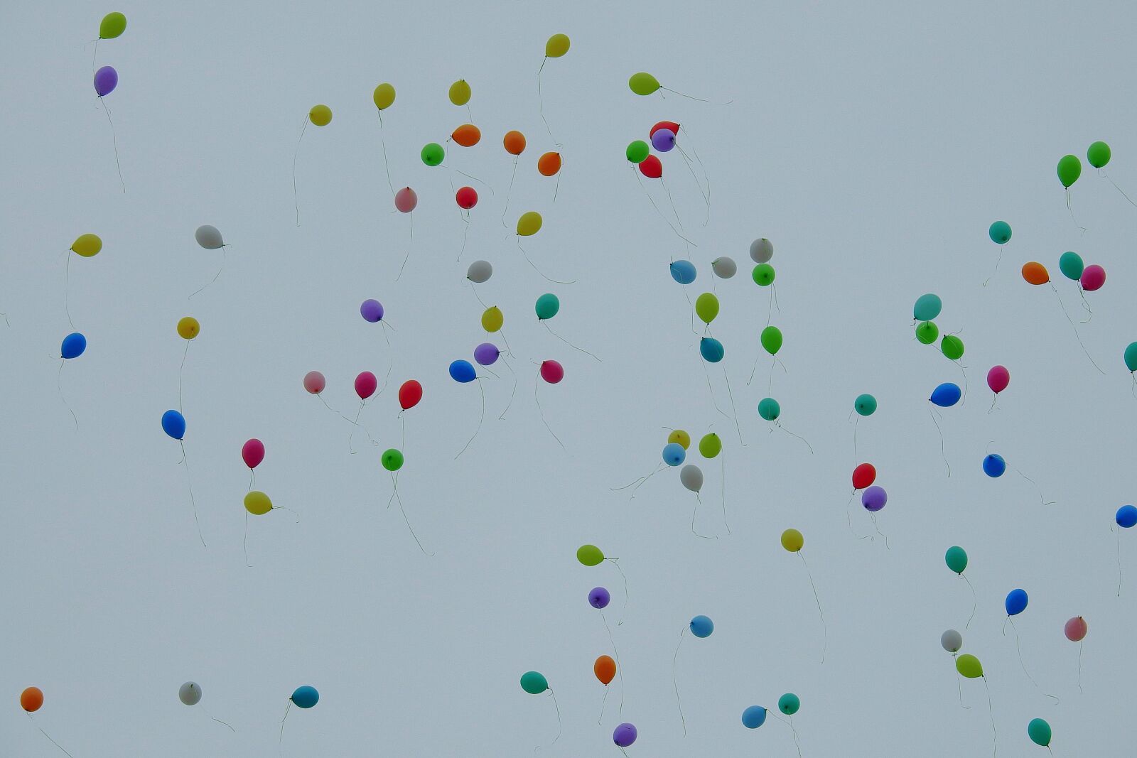 Nikon Coolpix P900 sample photo. Balloons, release, the feast photography