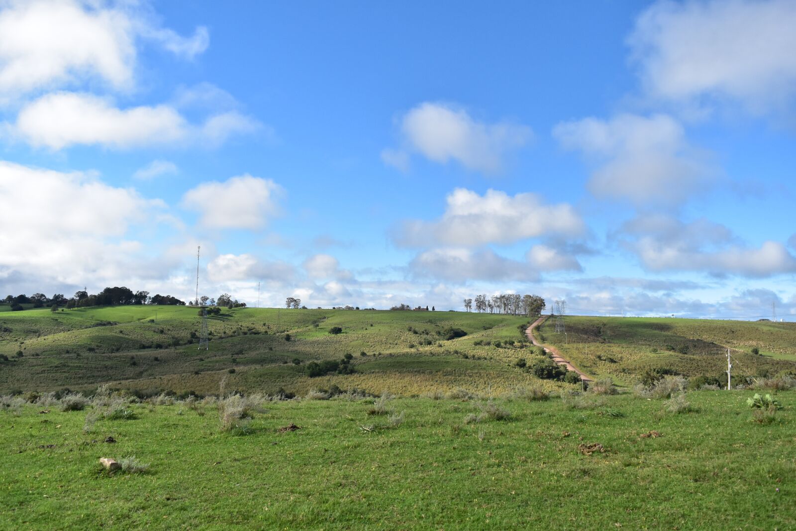 Nikon D5500 sample photo. Green, grass, landscape photography