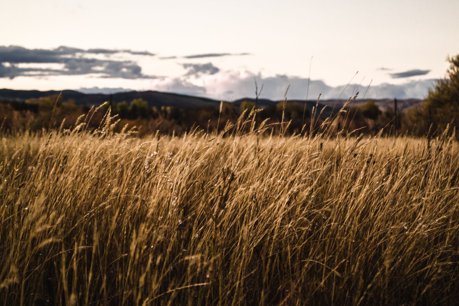 Nikon D3100 sample photo. Autumn, landscape, nature photography