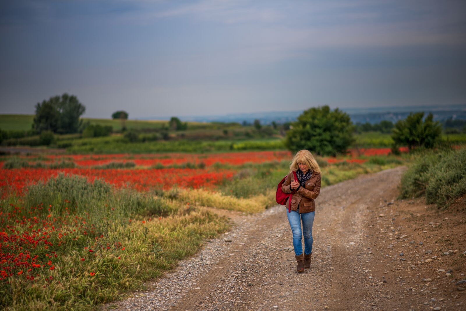 Nikon D750 sample photo. Path, girl, landscape photography