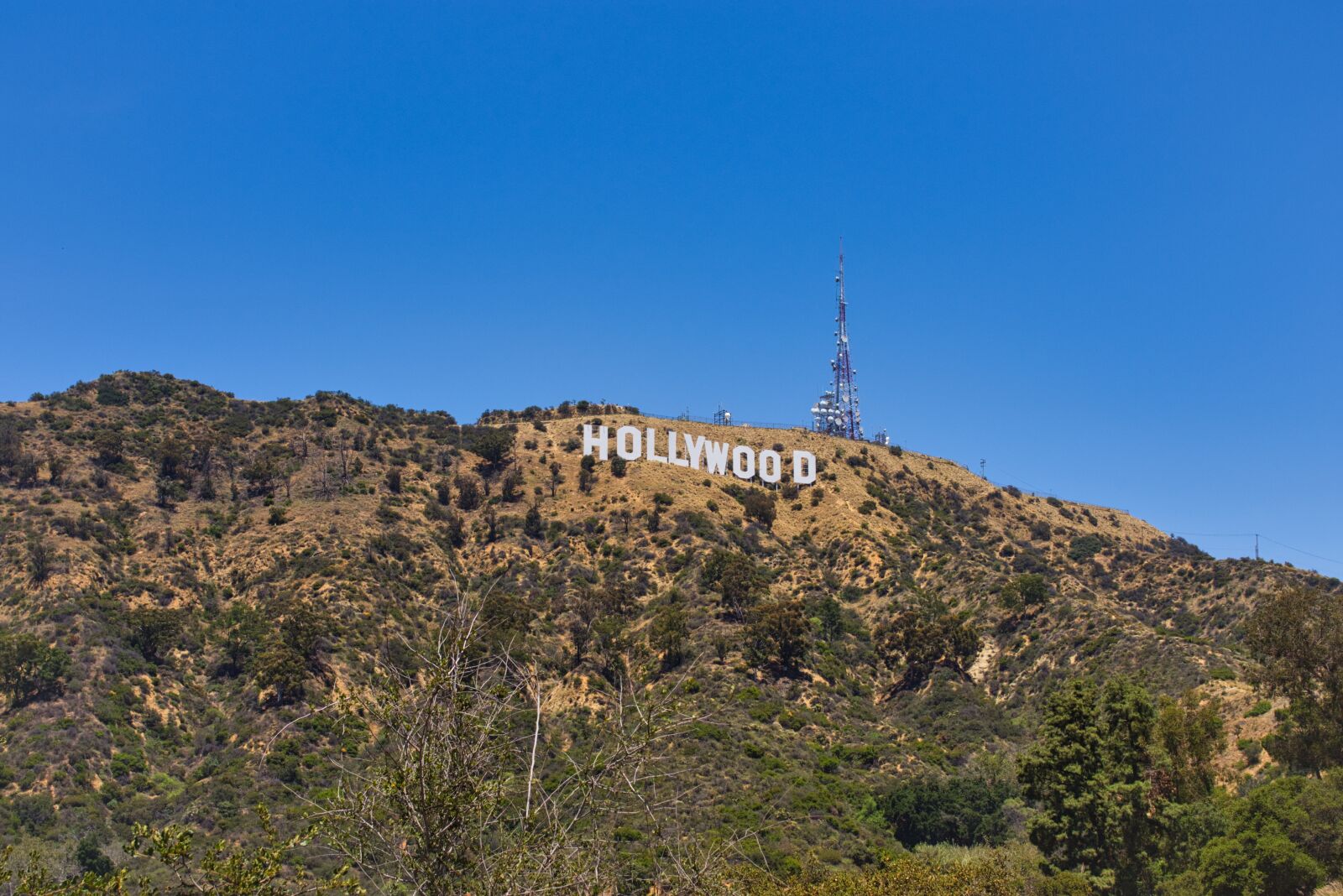 Nikon D7200 sample photo. Hollywood, usa, california photography