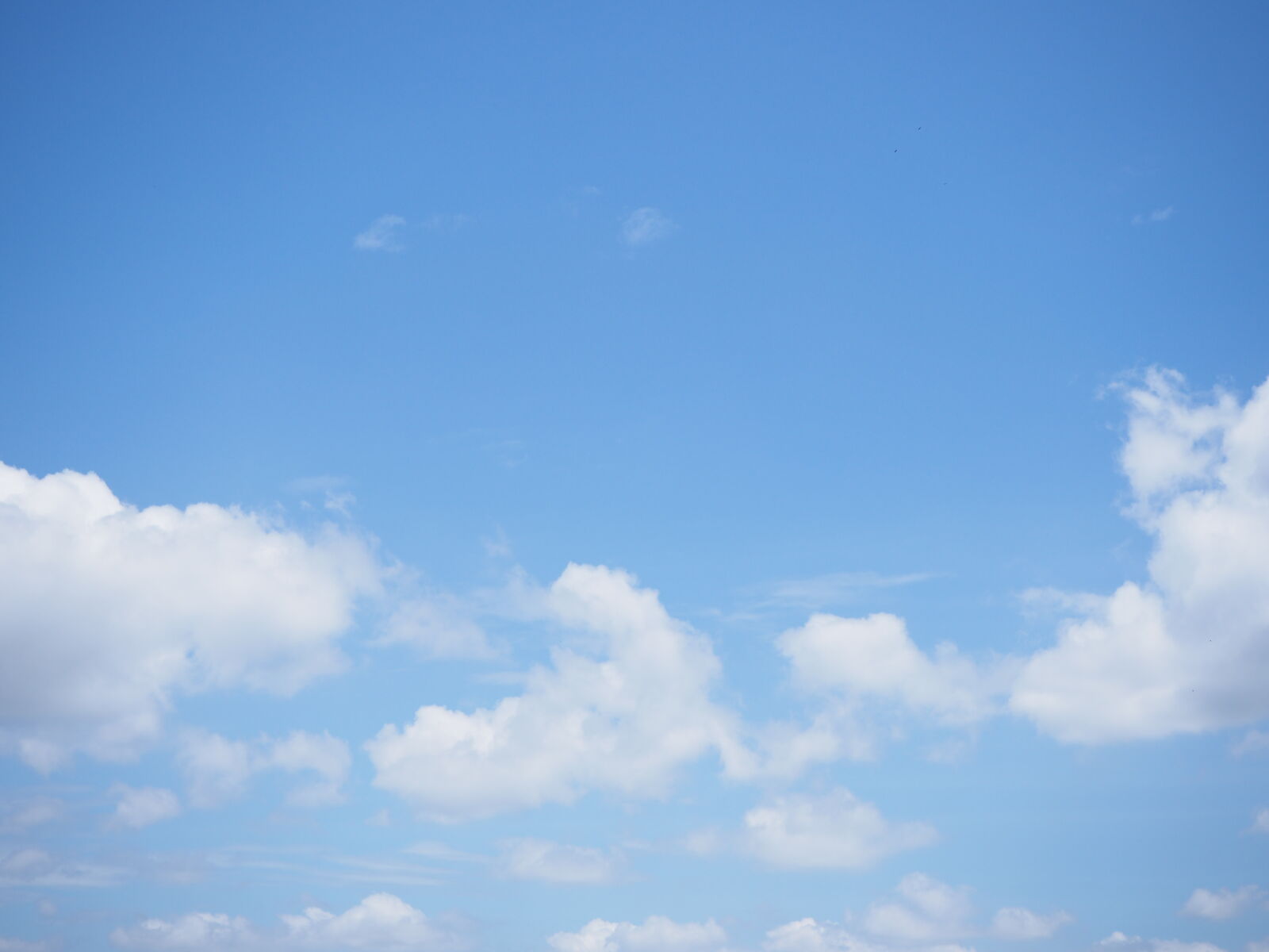 Olympus OM-D E-M10 II sample photo. Blue, blue, sky, clouds photography