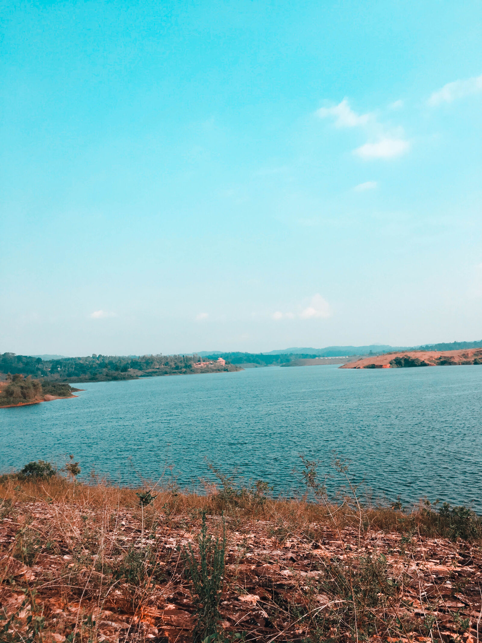 Apple iPhone 6s sample photo. Black, forest, blue, water photography