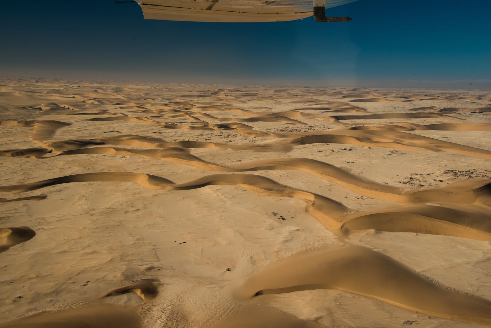 Nikon D800 sample photo. Namibia, crescent dunes, habitat photography