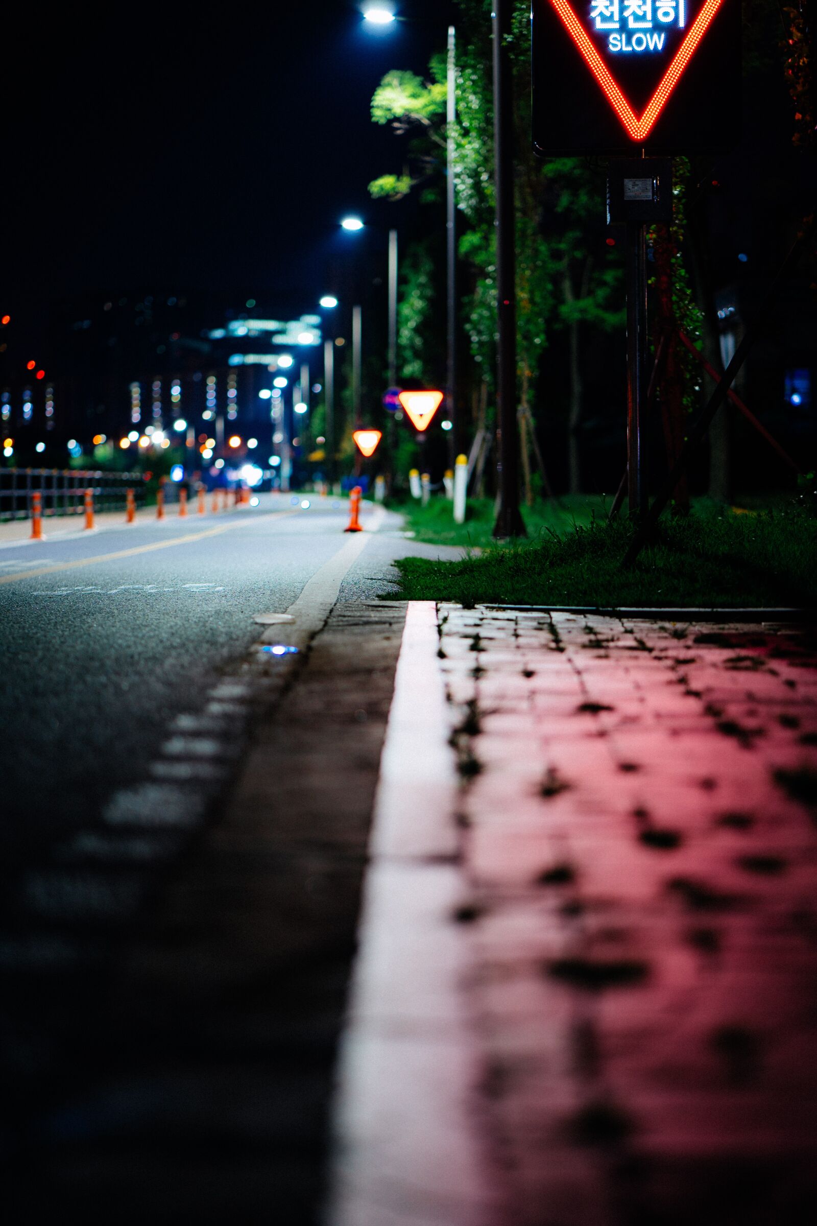 Sony a7 III sample photo. Night, street, sign photography
