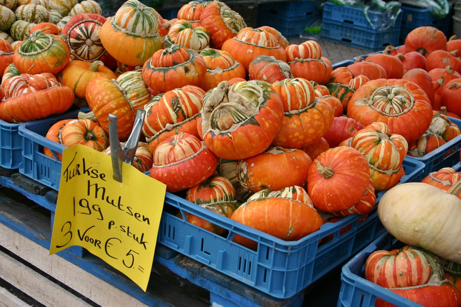 Canon EOS 300D (EOS Digital Rebel / EOS Kiss Digital) sample photo. Pumpkin, pumpkins, sale photography