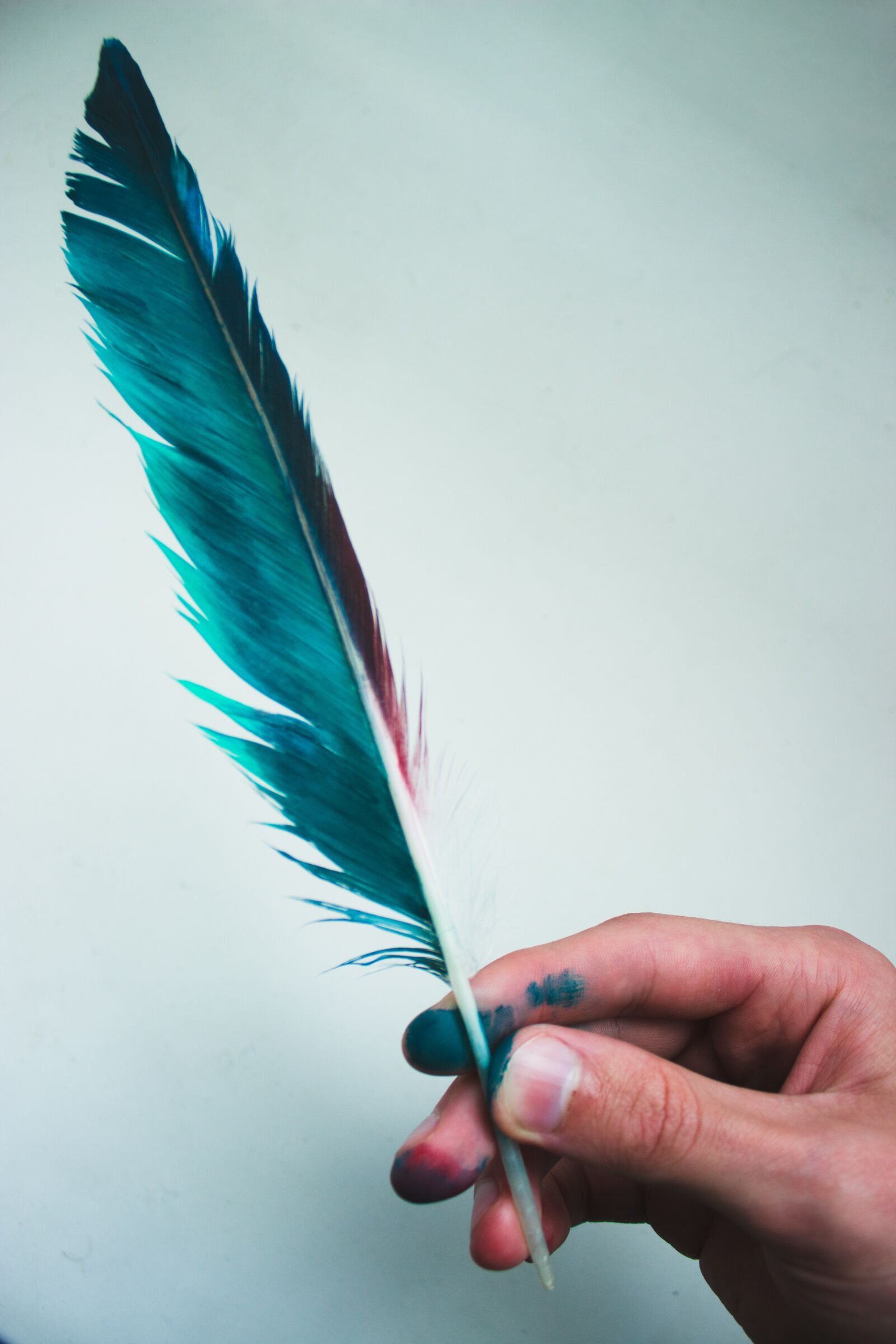 Canon EOS 600D (Rebel EOS T3i / EOS Kiss X5) sample photo. Feather, hand, photoshop photography