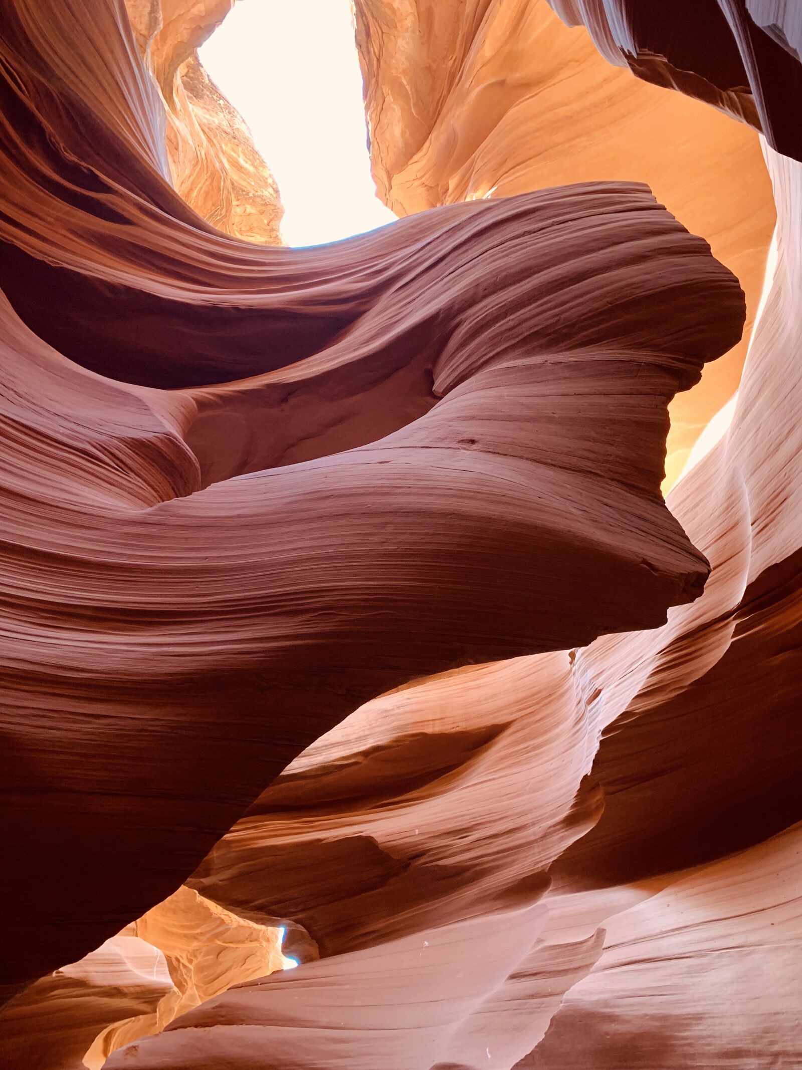 Apple iPhone XS sample photo. The antelope, the canyon photography