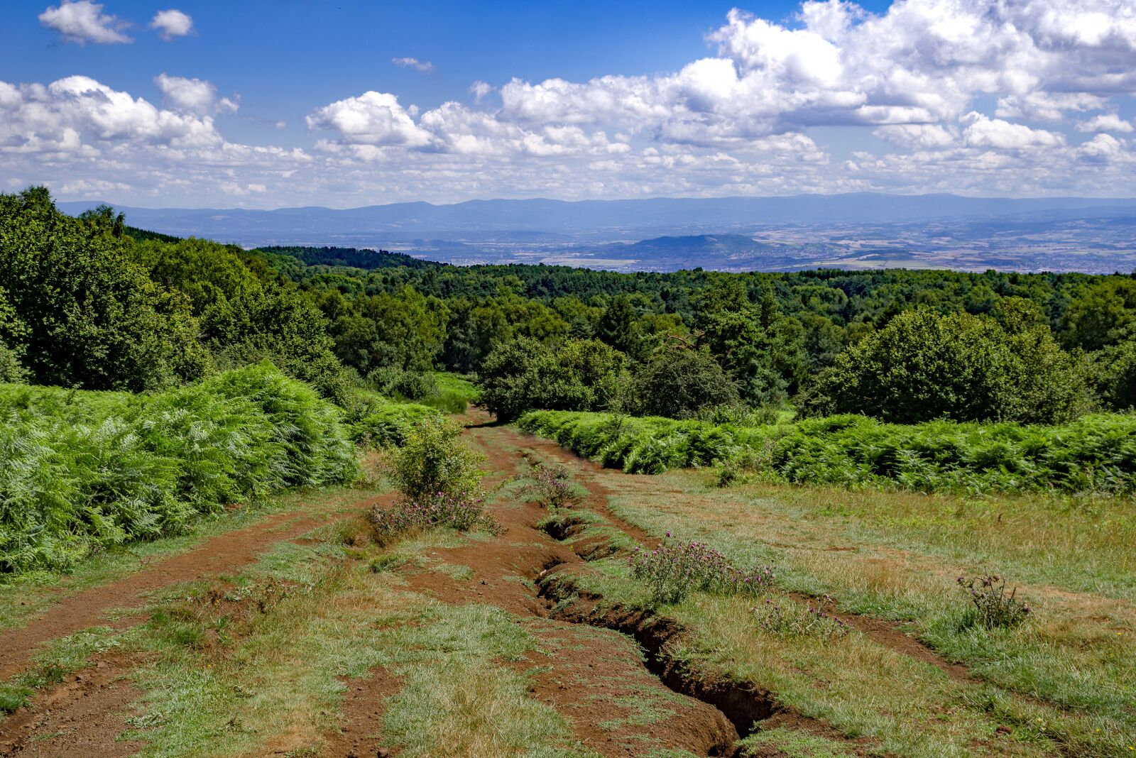 Pentax K-1 Mark II sample photo. Landscape, countryside, path photography