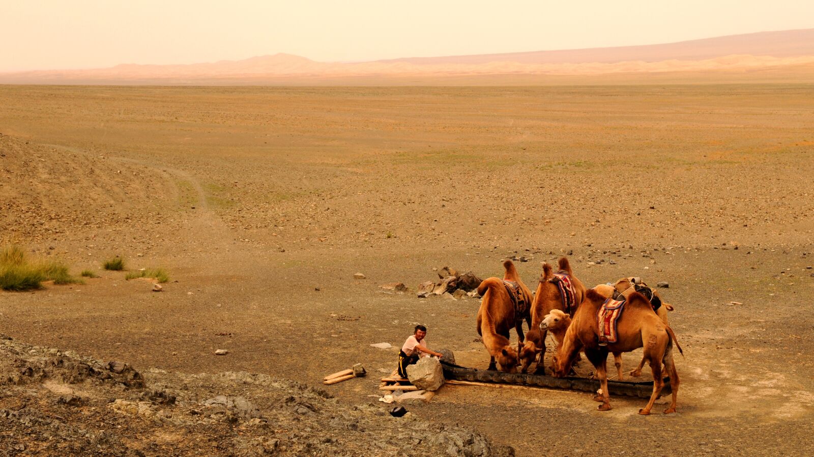 Nikon D300 sample photo. Mongolia, sand, desert photography