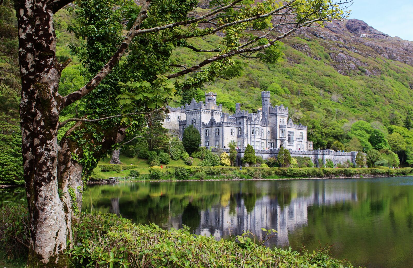Canon EOS 100D (EOS Rebel SL1 / EOS Kiss X7) sample photo. Castle, nature, landscape photography