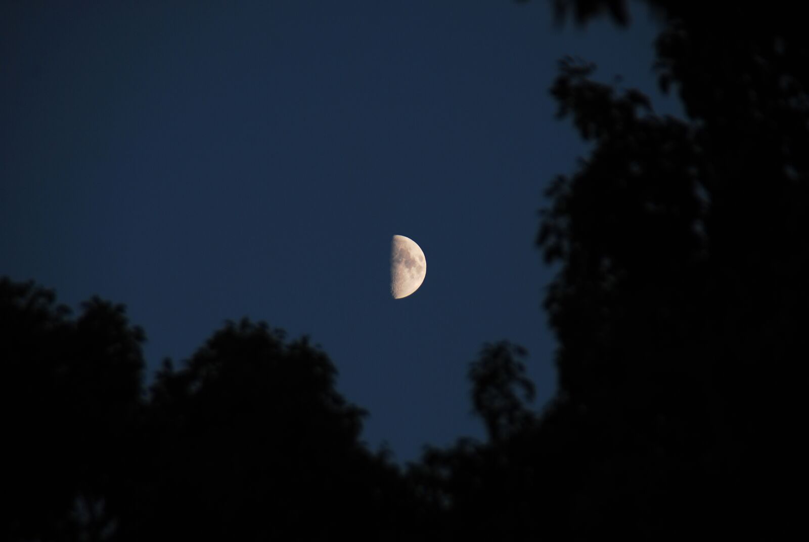 Nikon D40X sample photo. Moon, sky, night photography