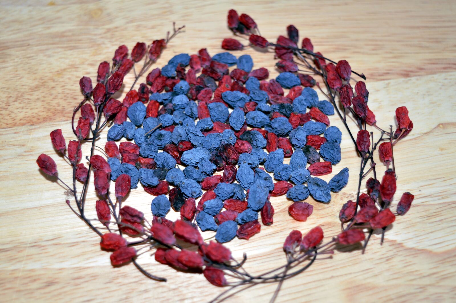 Nikon D3200 sample photo. Barberry, mahonia, berry photography