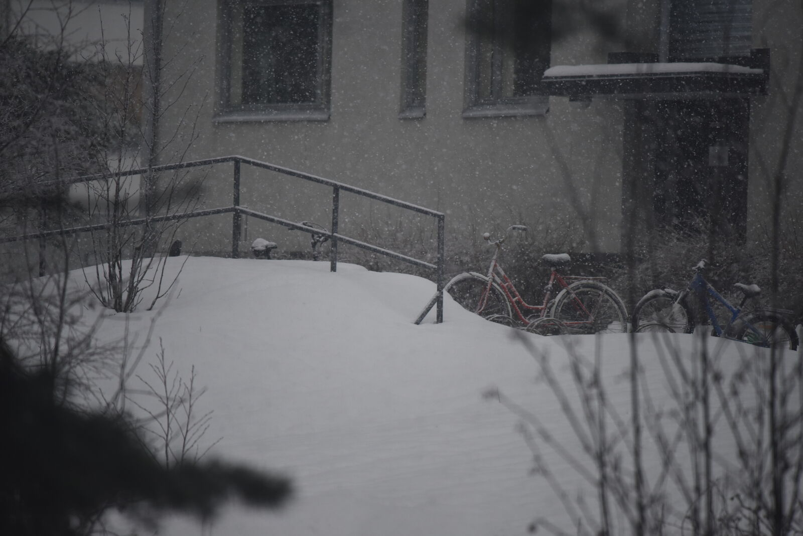 Nikon D810 sample photo. Bicycle of cold photography