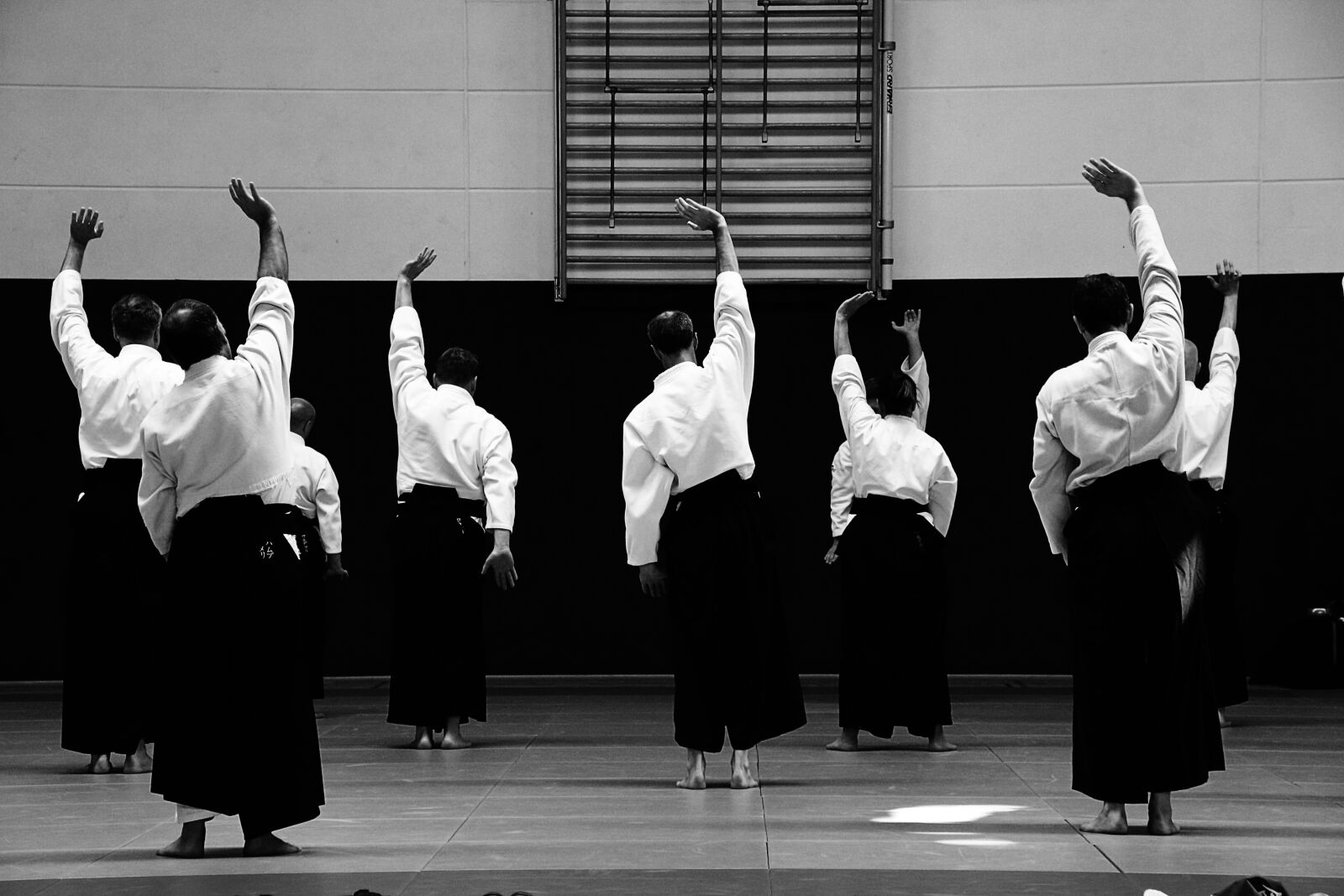 Canon EOS 700D (EOS Rebel T5i / EOS Kiss X7i) sample photo. Aikido, self-defense, training photography