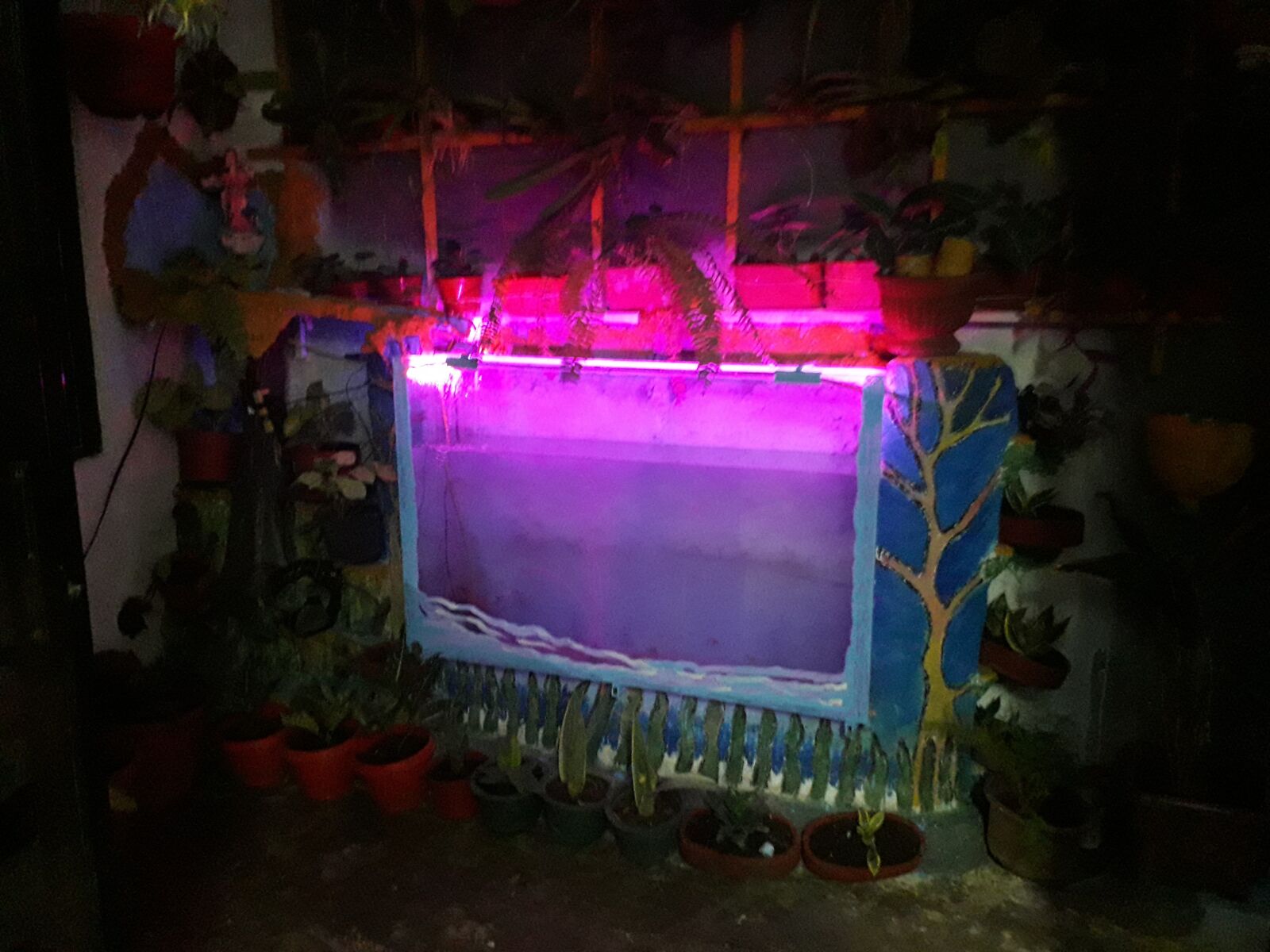 Samsung Galaxy J6 sample photo. Aquarium, fish, water photography