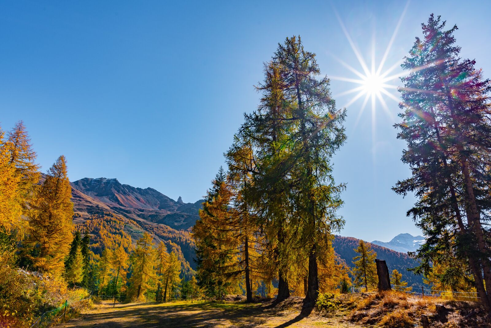 Nikon D750 sample photo. Mountain, switzerland, alps photography