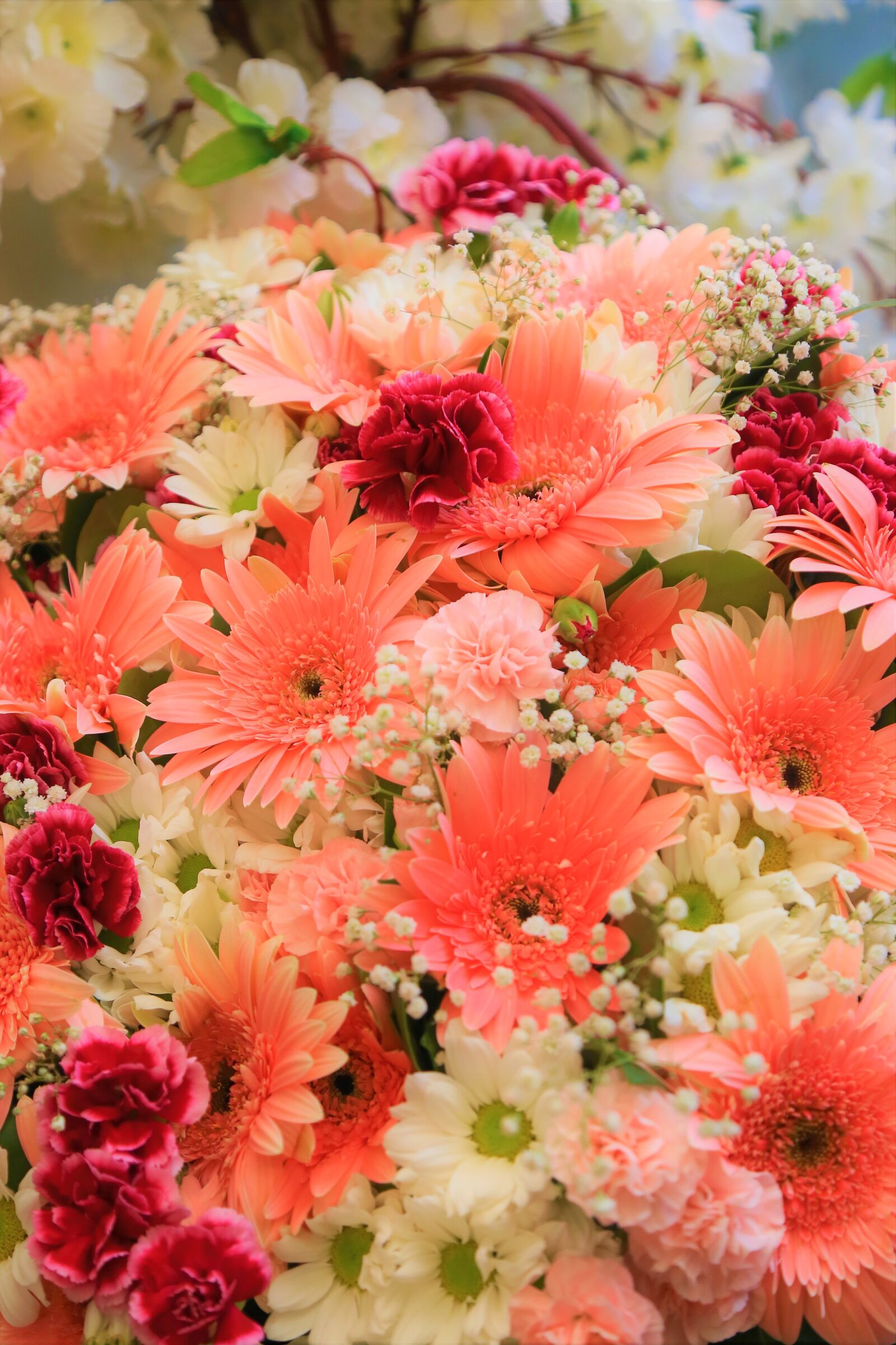 Canon EF 24-105mm F4L IS USM sample photo. Flowers, spring, nature photography