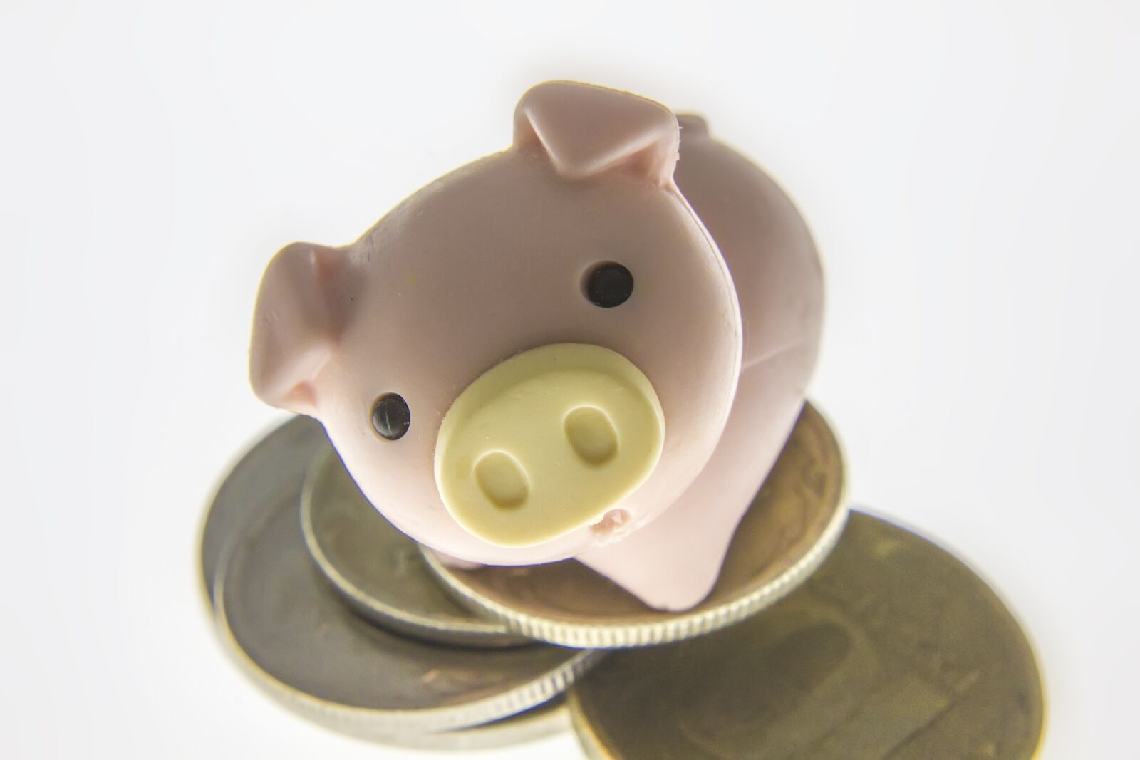 Canon EOS 550D (EOS Rebel T2i / EOS Kiss X4) sample photo. Toy, finances, financial photography