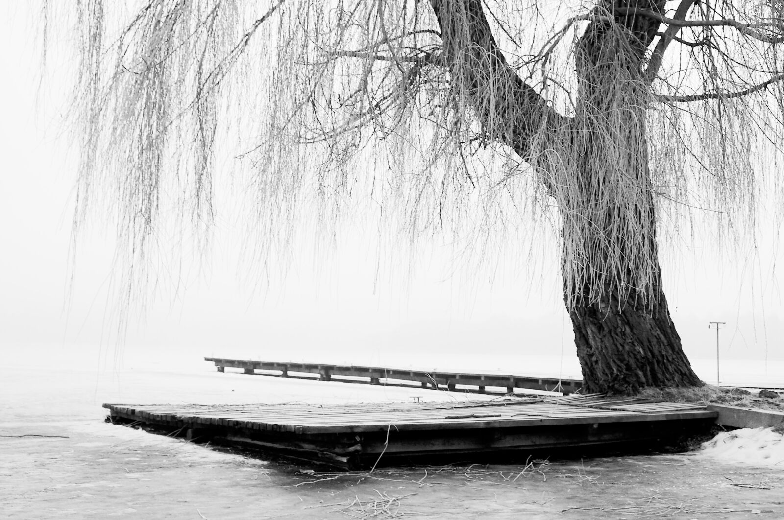 Olympus PEN E-PL6 sample photo. Winter, snow, the fog photography