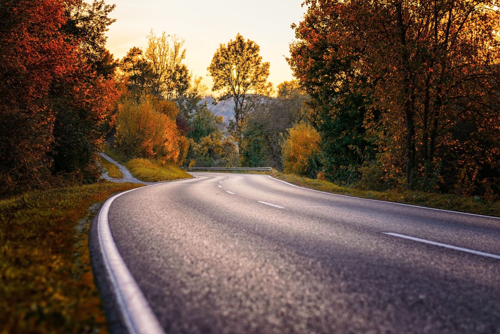 Nikon D3300 sample photo. Road, curve, s curve photography