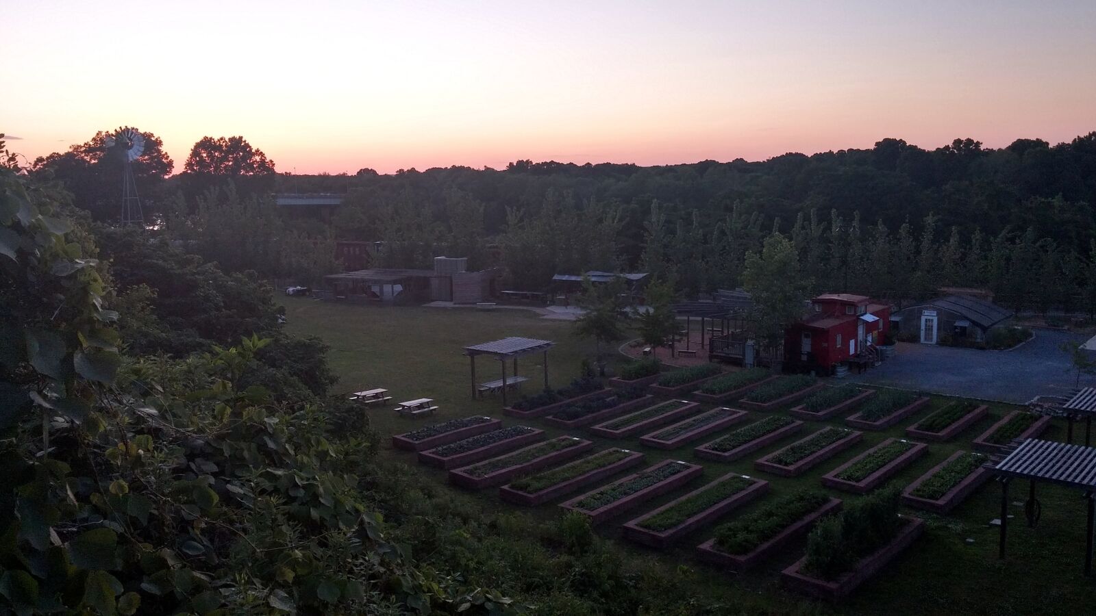 LG G3 sample photo. Garden, pink, sky, summer photography