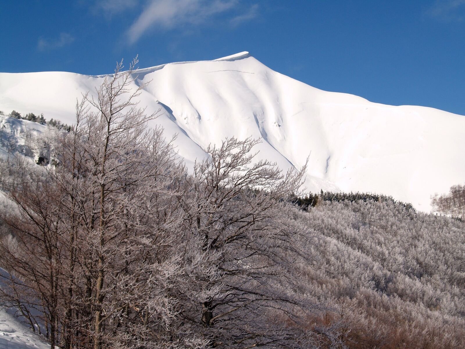 Olympus E-500 (EVOLT E-500) sample photo. Snow-capped peaks, corno alle photography