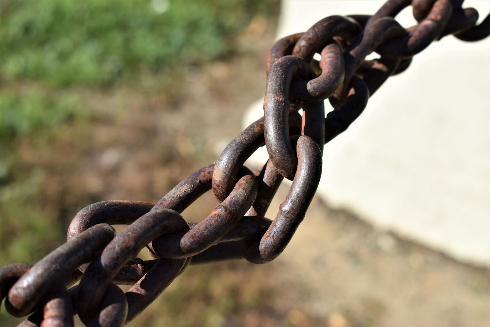 Nikon D3500 sample photo. Chain, twisted, metal photography