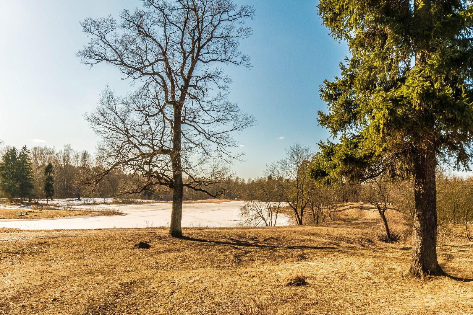 Fujifilm X-A2 + Fujifilm XC 16-50mm F3.5-5.6 OIS II sample photo. Spring, gatchina, beauty photography